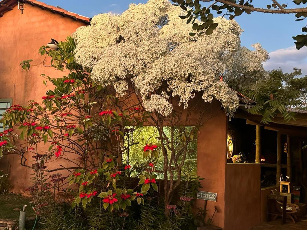 Pousada Refugio Da Serra Pirenópolis エクステリア 写真