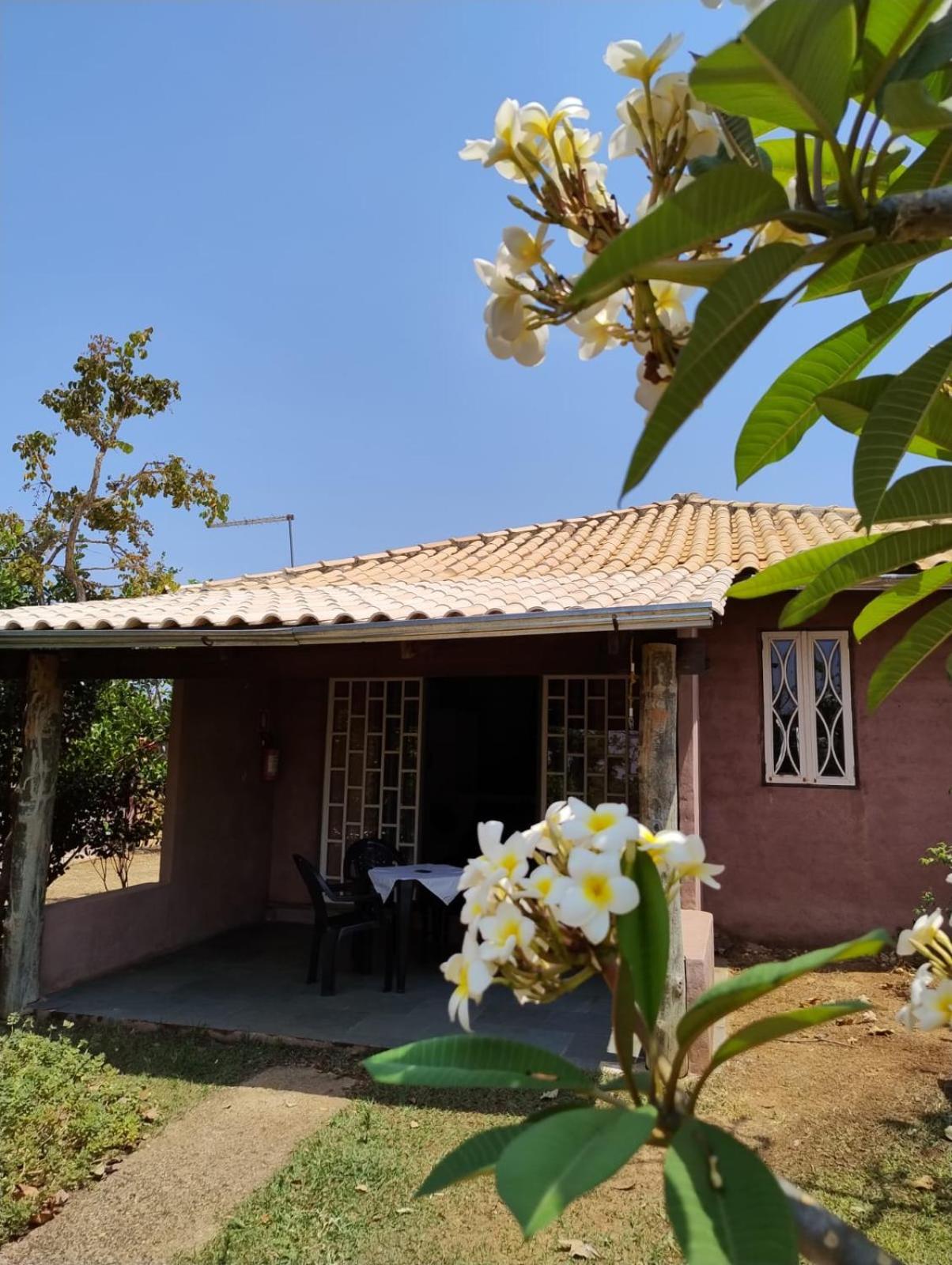 Pousada Refugio Da Serra Pirenópolis 部屋 写真